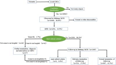 Analysis of the operational status of the three-level referral system for urologic ultrasound screening and risk factors for renal pelvic dilatation in high-risk children